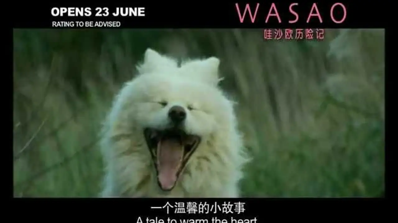 Wasao — trailer