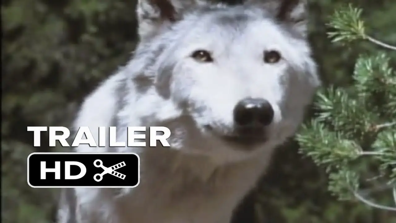 Wolves — trailer