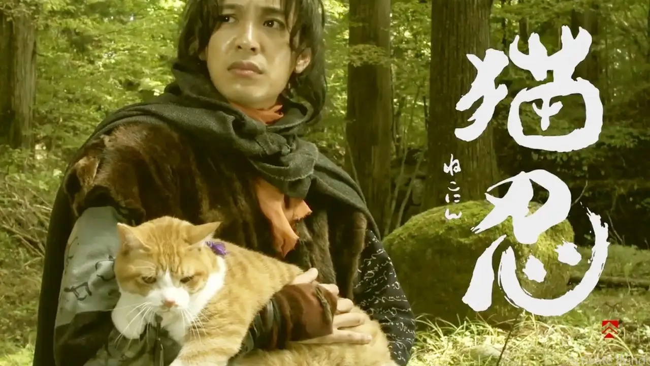 Neko Ninja — trailer