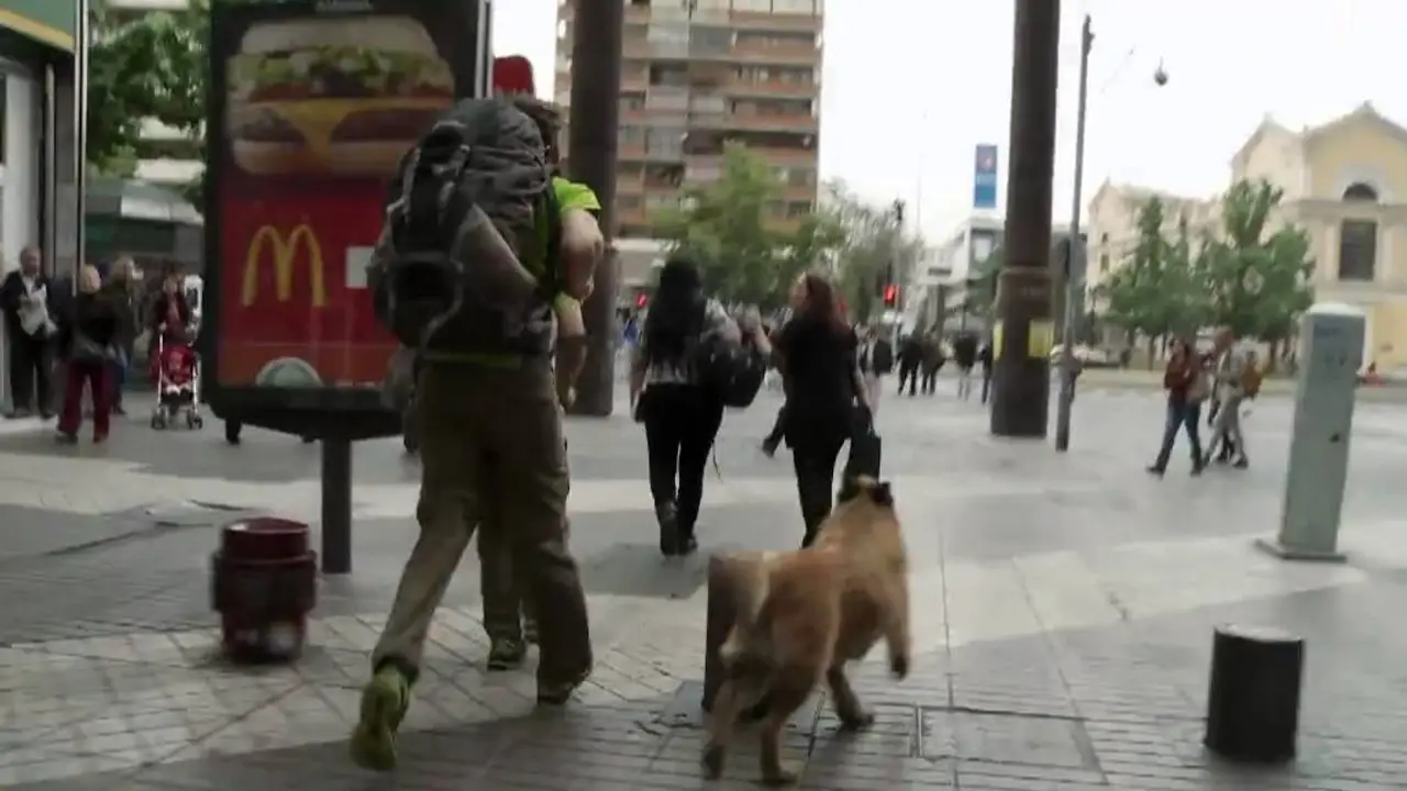 The Amazing Race Norge — tráiler