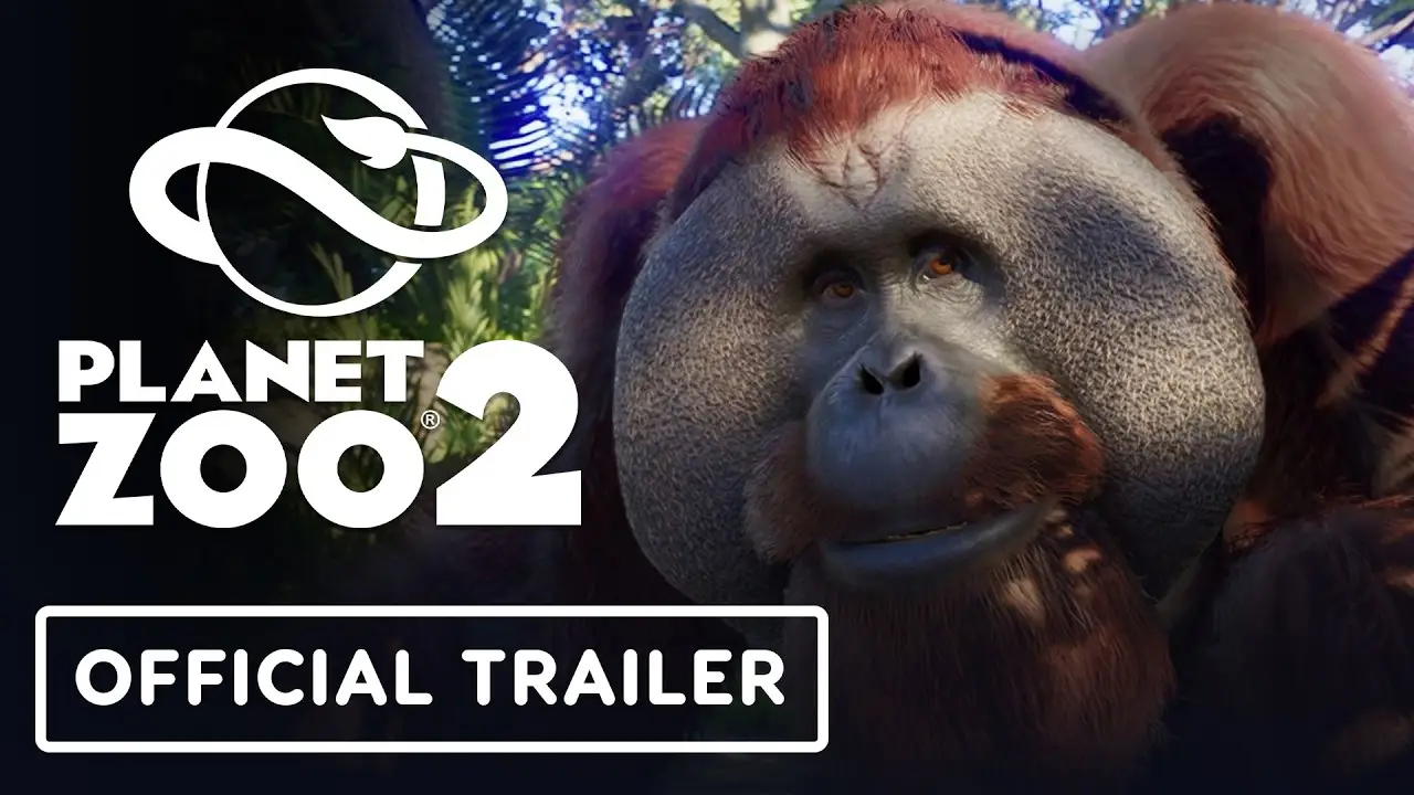 Orangutan — tráiler