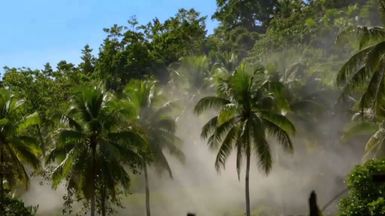 Ben Fogle: New Lives in the Wild — trailer