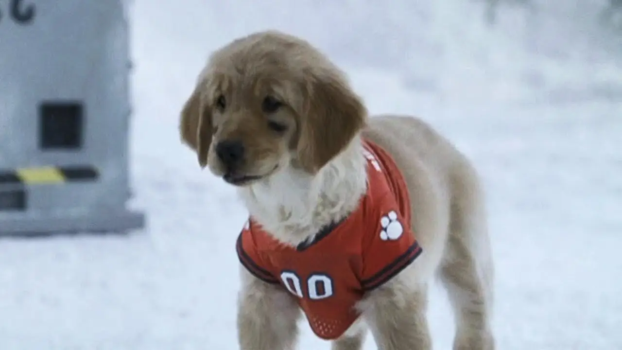 Snow Buddies — tráiler