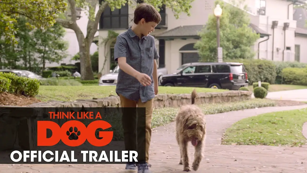 Think Like a Dog — трейлер