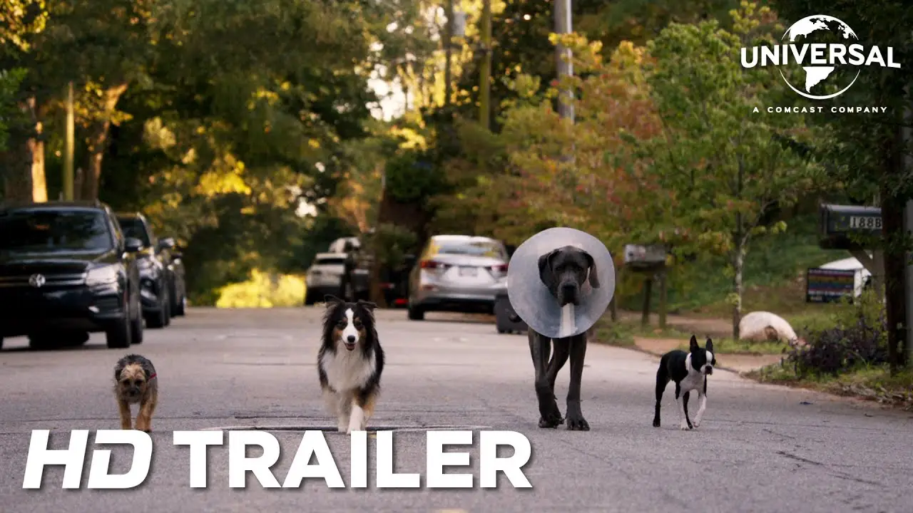 Strays — tráiler