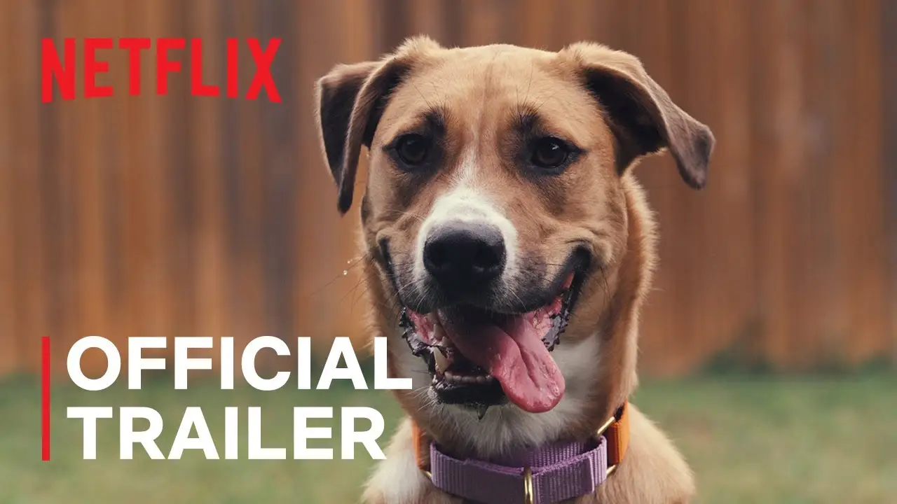 En la mente de un perro — tráiler