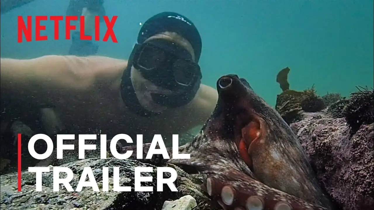 My Octopus Teacher — trailer