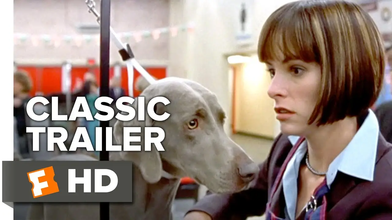 Very Important Perros — tráiler