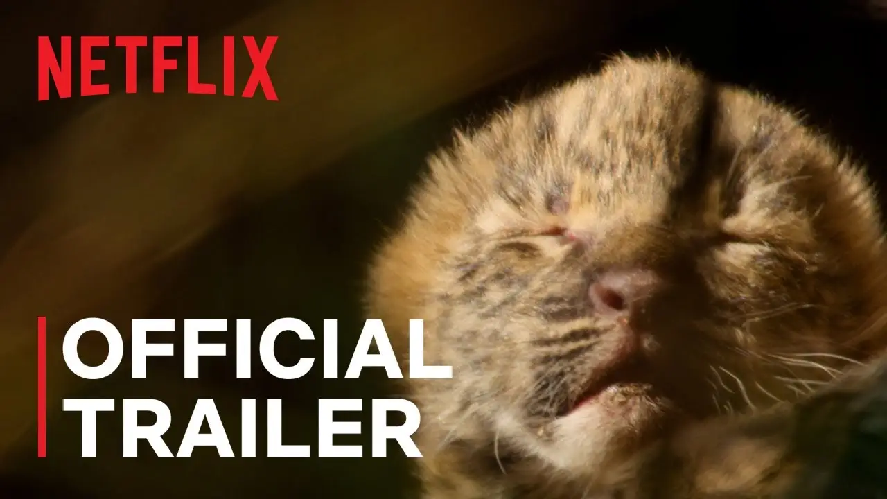 Living with Leopards — tráiler