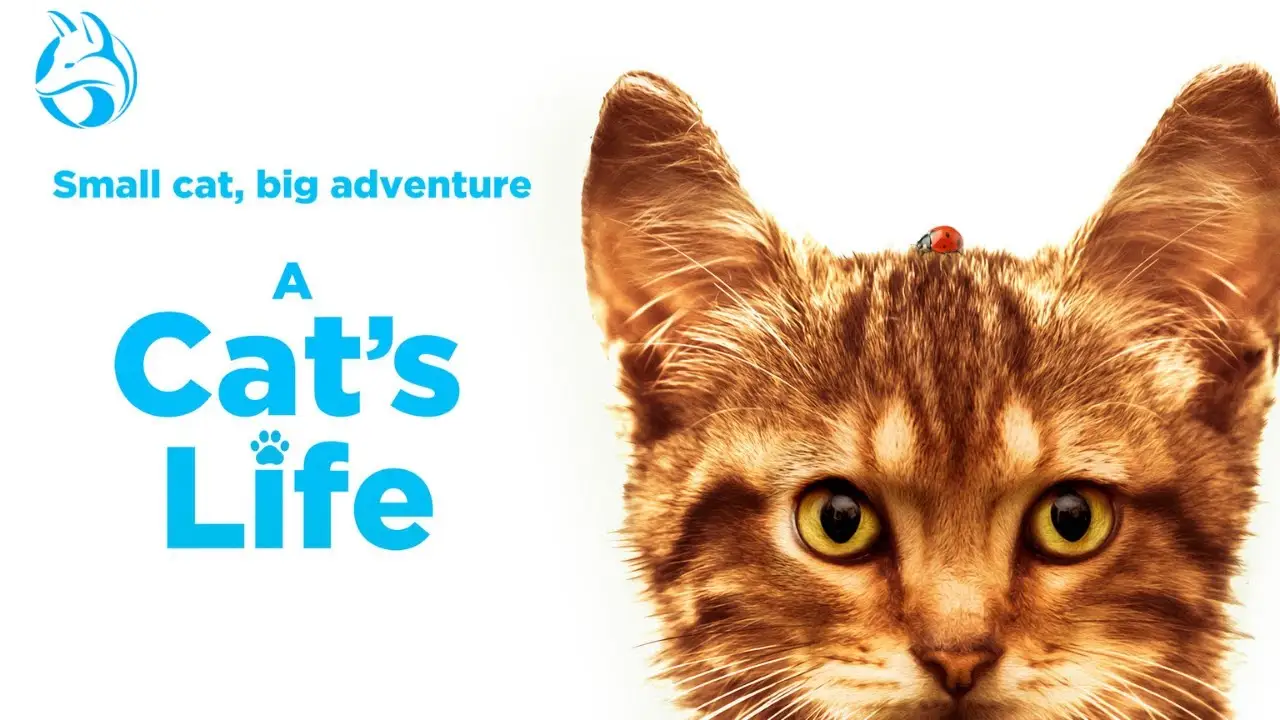 A Cat's Life — tráiler