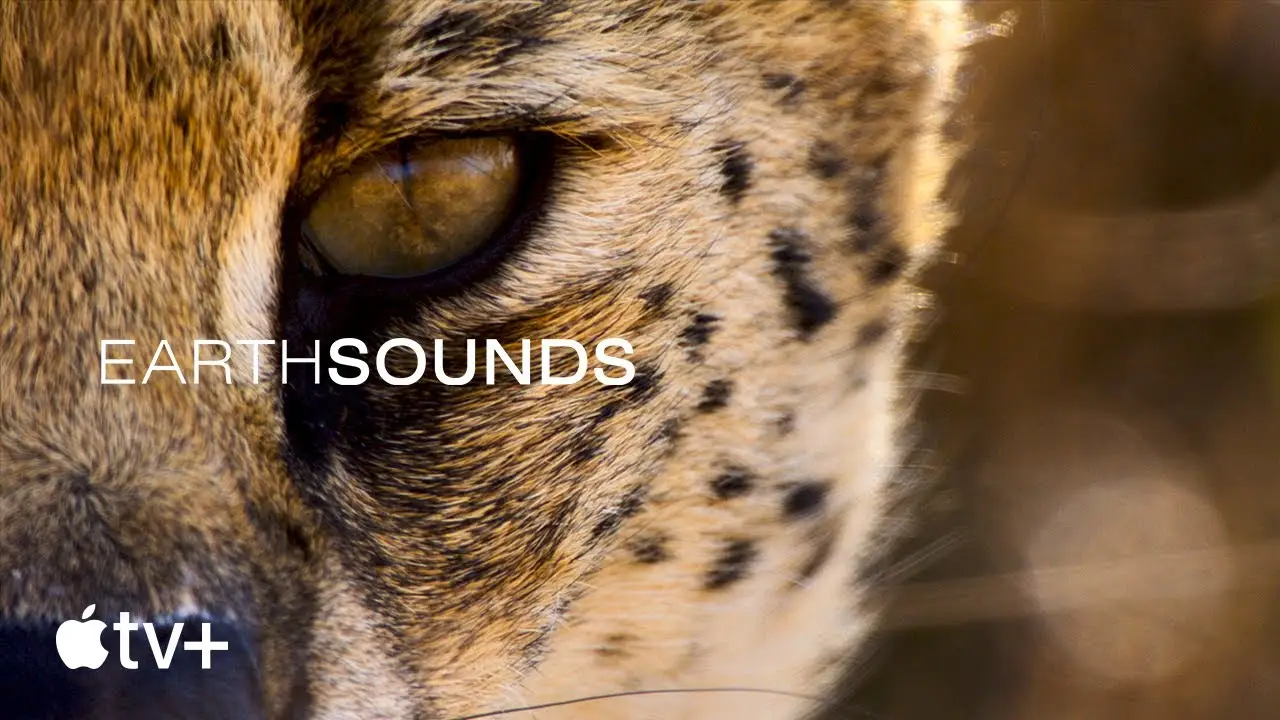 Earthsounds — трейлер
