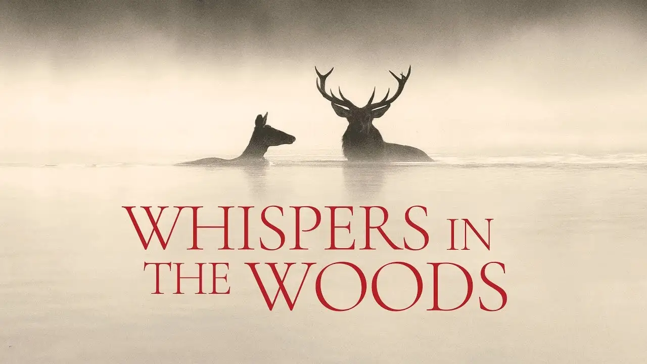 Whispers in the Woods — trailer
