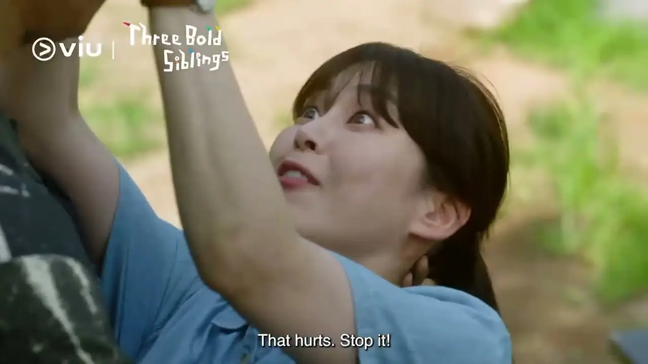 Three Bold Siblings — tráiler