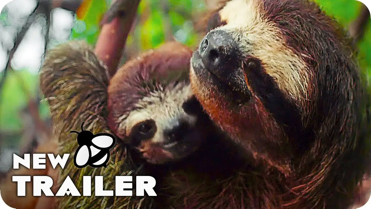 Earth: One Amazing Day — trailer