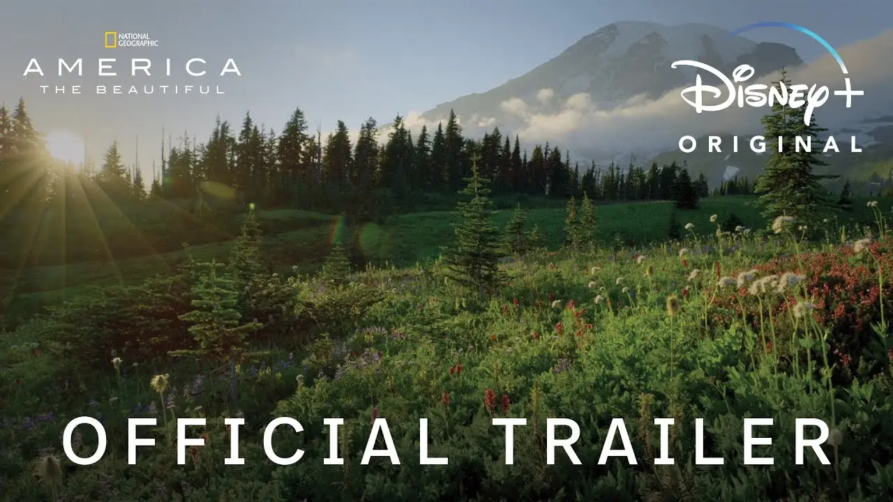 America the Beautiful — трейлер