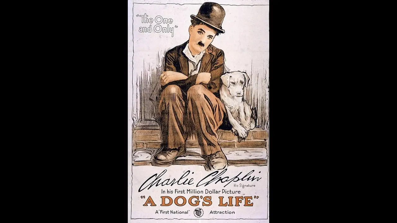 Vida de perro — tráiler