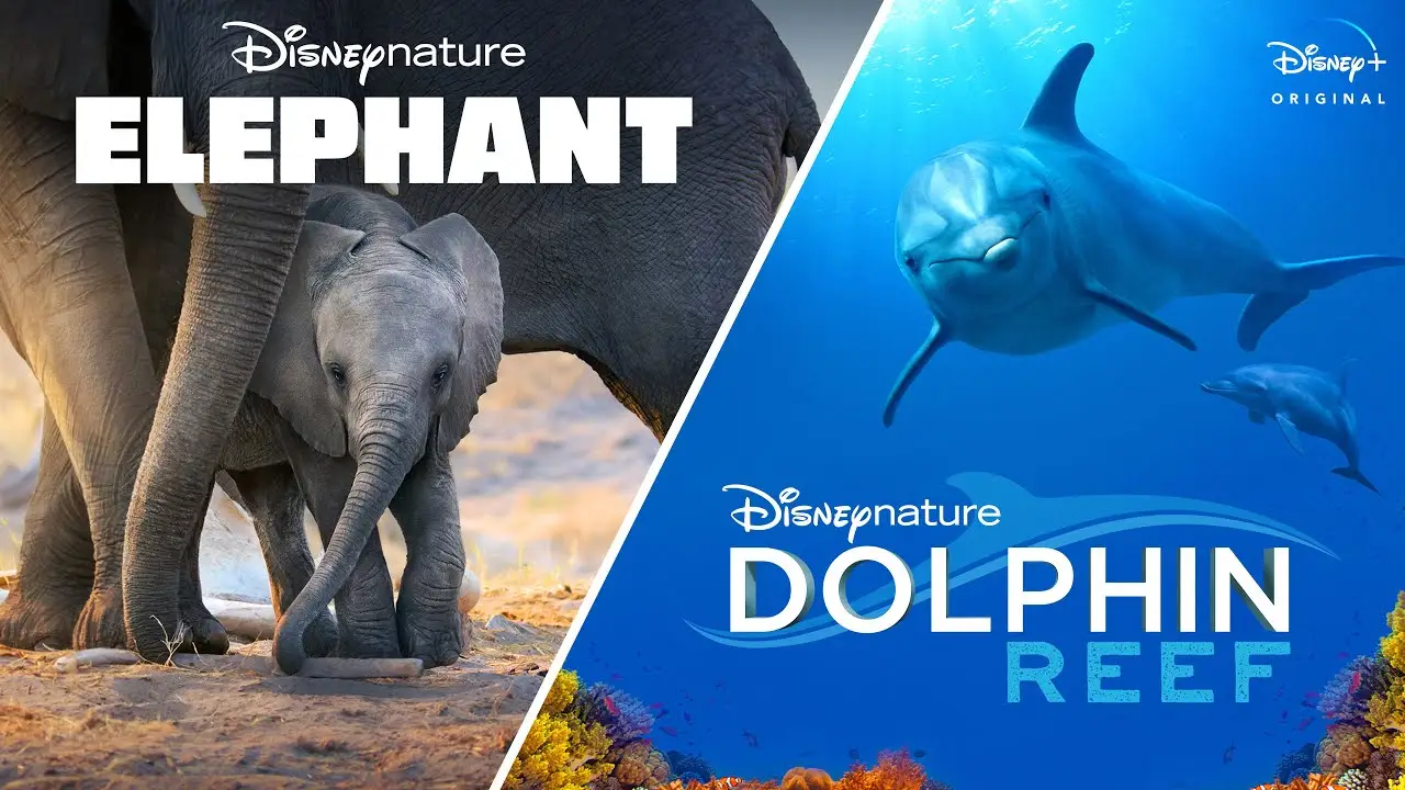 Dolphin Reef — trailer