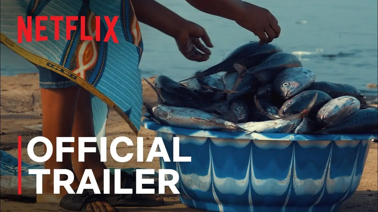 Seaspiracy — tráiler