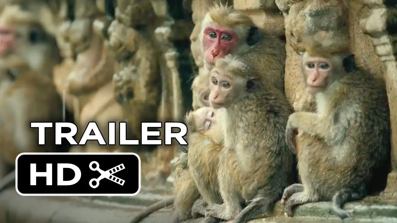 Monkey Kingdom — trailer