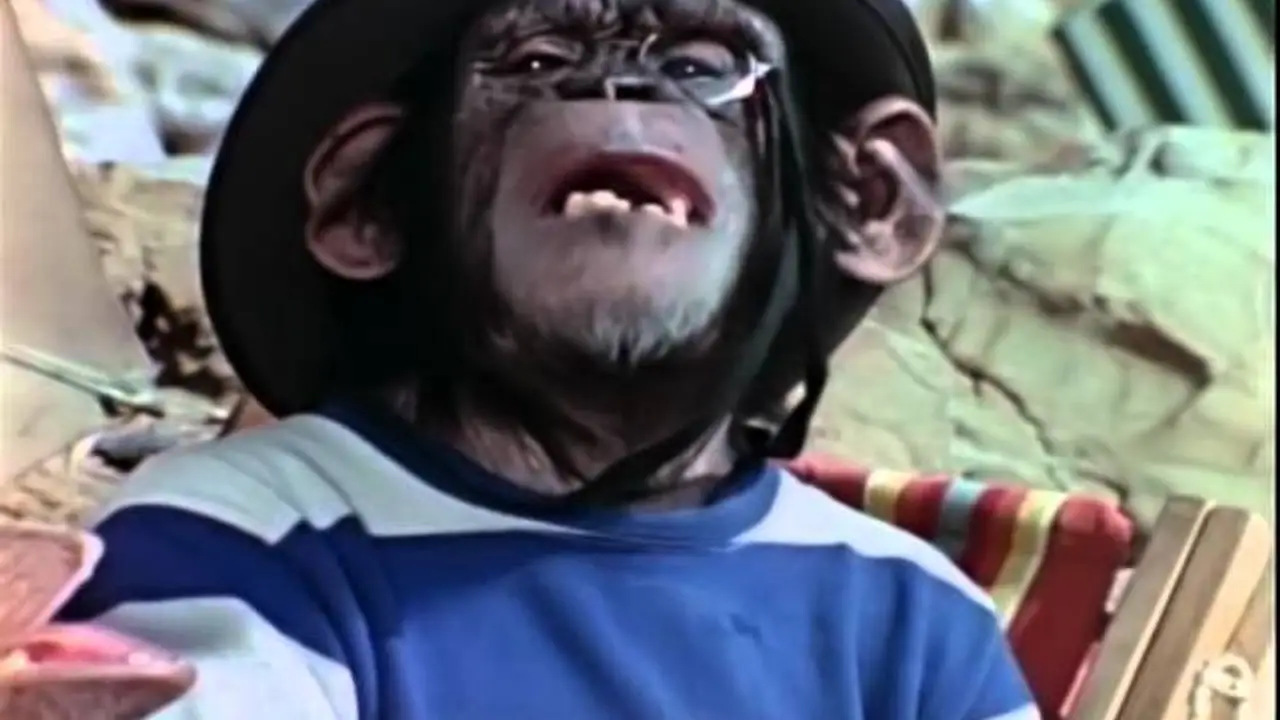 Lancelot Link, Secret Chimp — трейлер