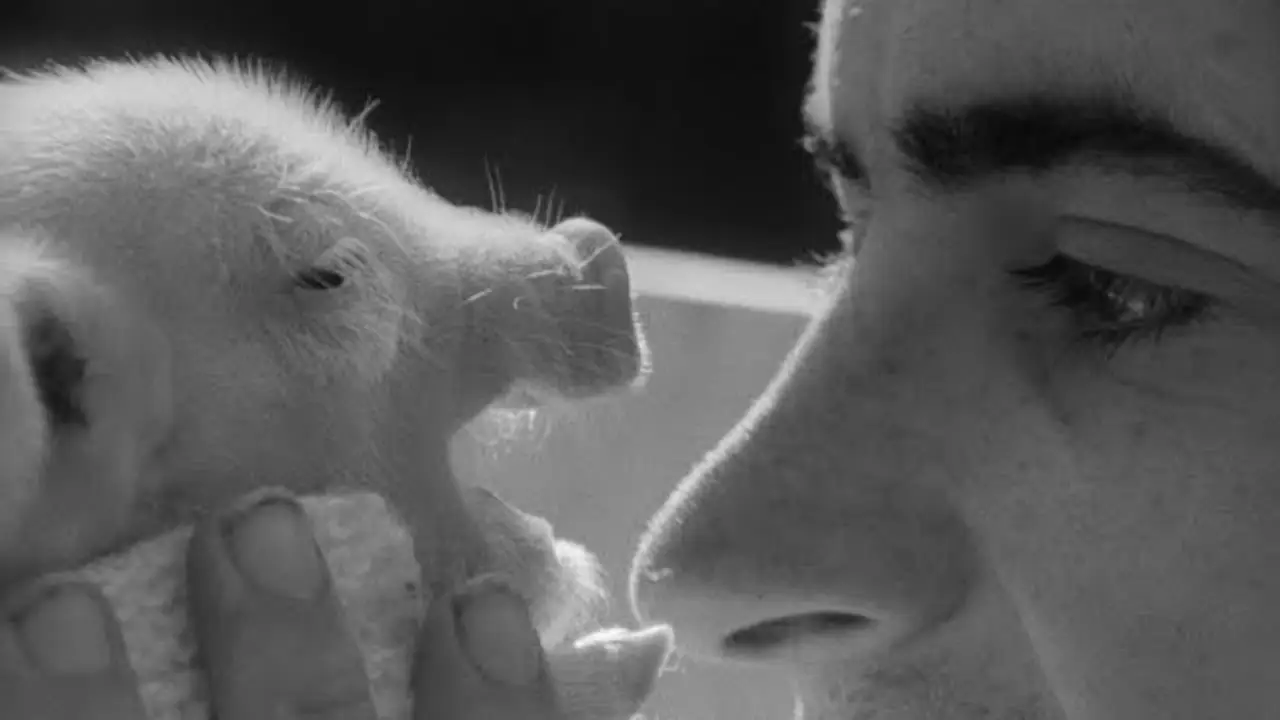 Vase de Noces — trailer