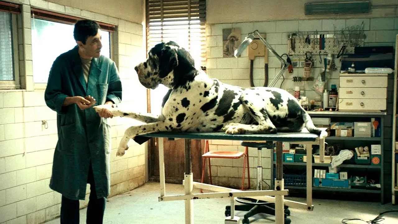 Dogman — trailer