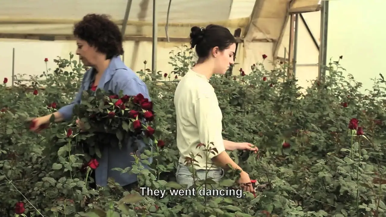 Hothouse — трейлер