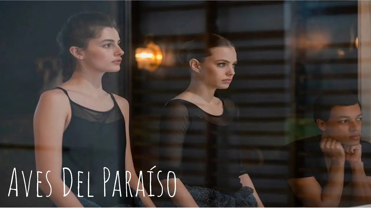 Paraíso — трейлер