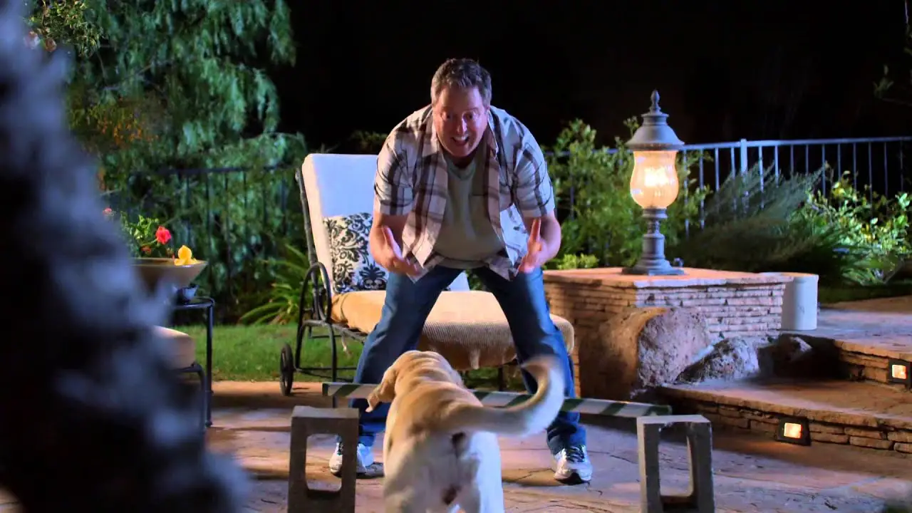 The Dog — tráiler