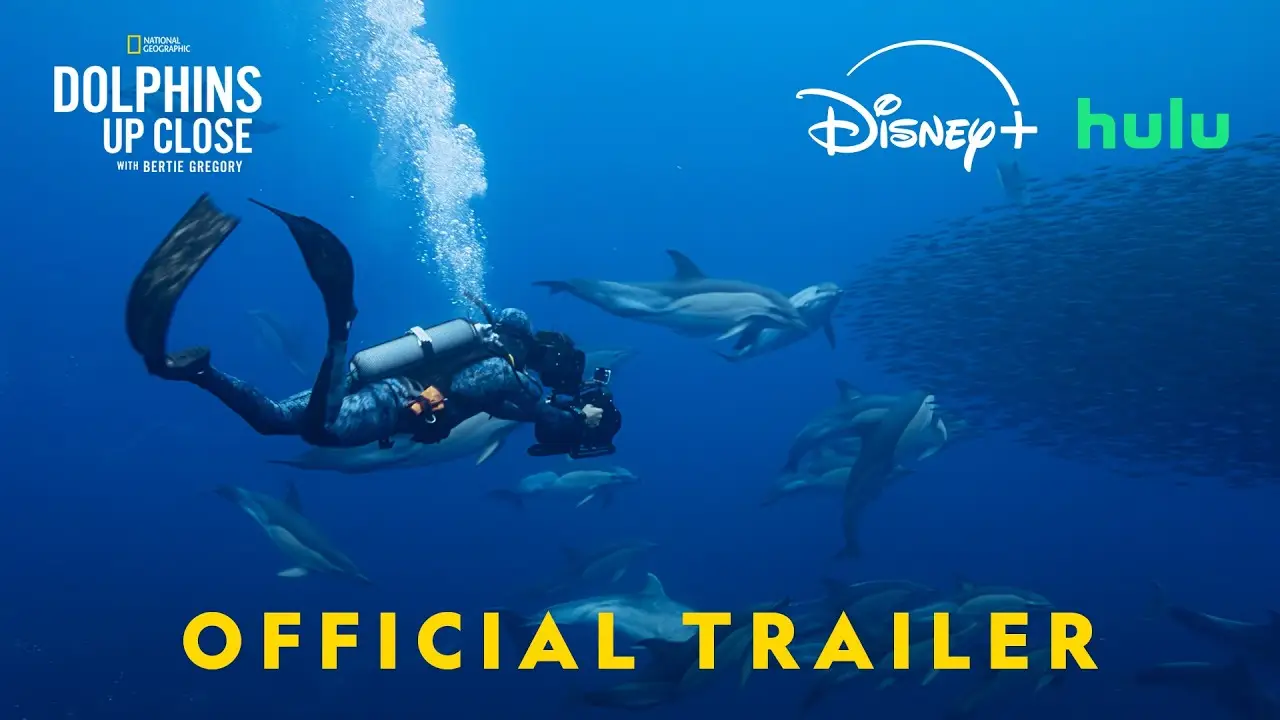 Dolphins Up Close with Bertie Gregory — tráiler
