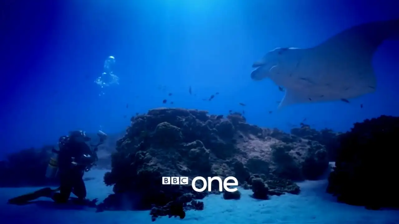 Great Barrier Reef — tráiler