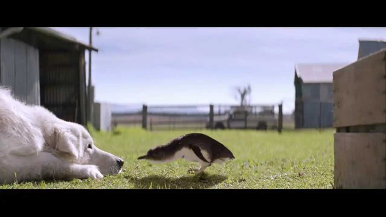 Oddball — trailer