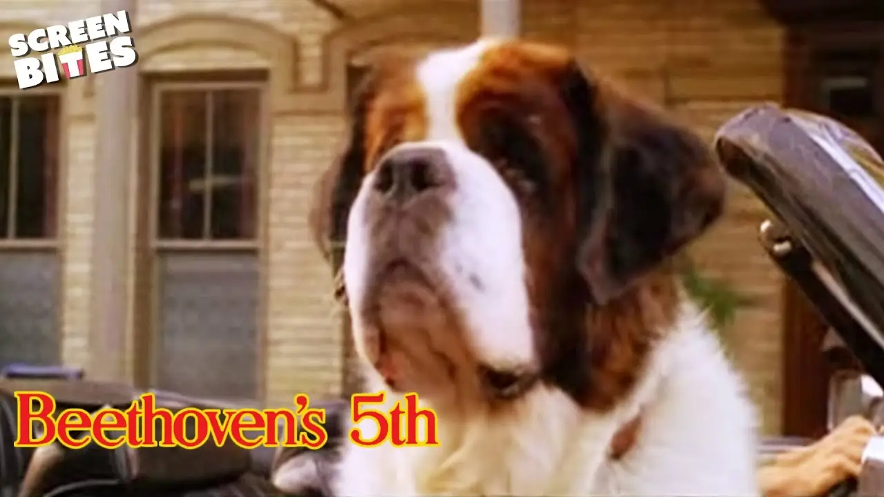 Beethoven's 5th — trailer