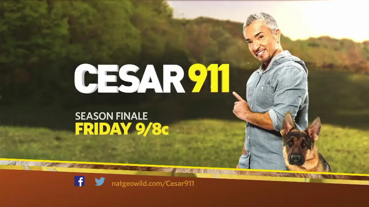 Cesar 911 — trailer