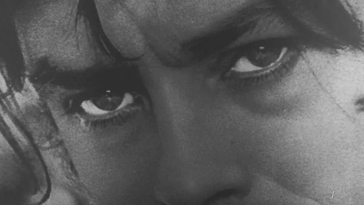 Indian Summer — trailer