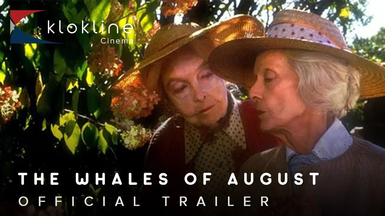 Las ballenas de agosto — tráiler