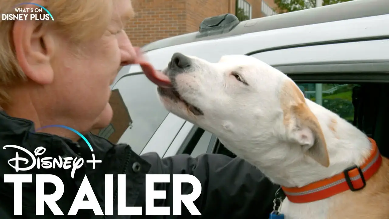 Una vida de perros, con Bill Farmer — tráiler