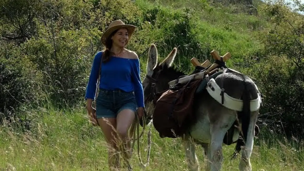 My Donkey, My Lover & I — trailer