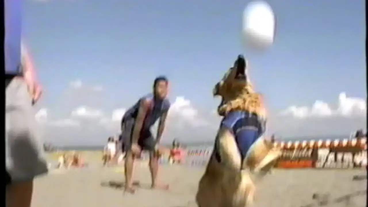 Air Bud: Spikes Back — трейлер