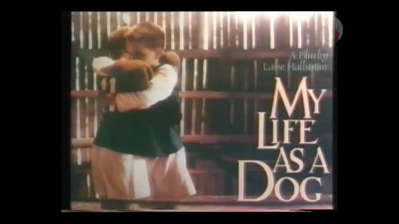 My Life as a Dog — трейлер