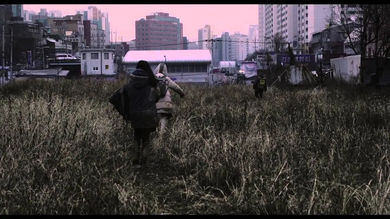 Wild Flowers — tráiler