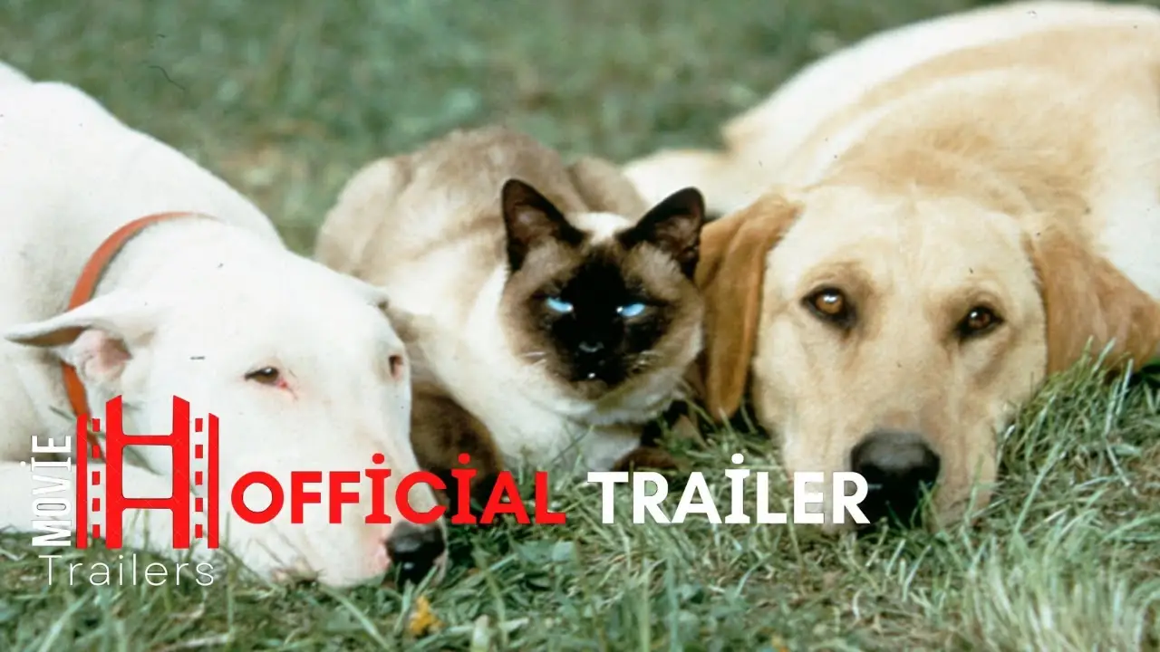 El viaje increíble — tráiler
