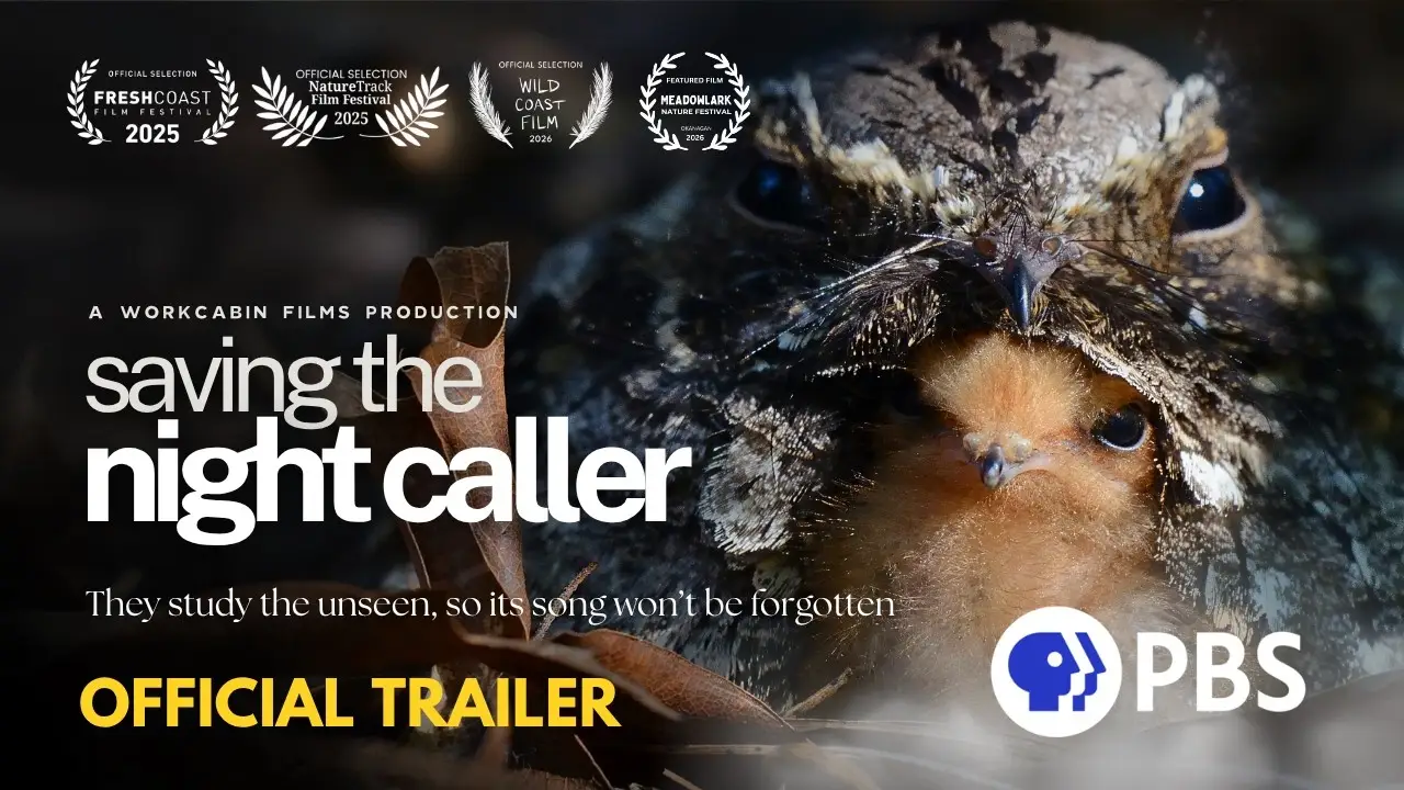 The Night Caller — trailer