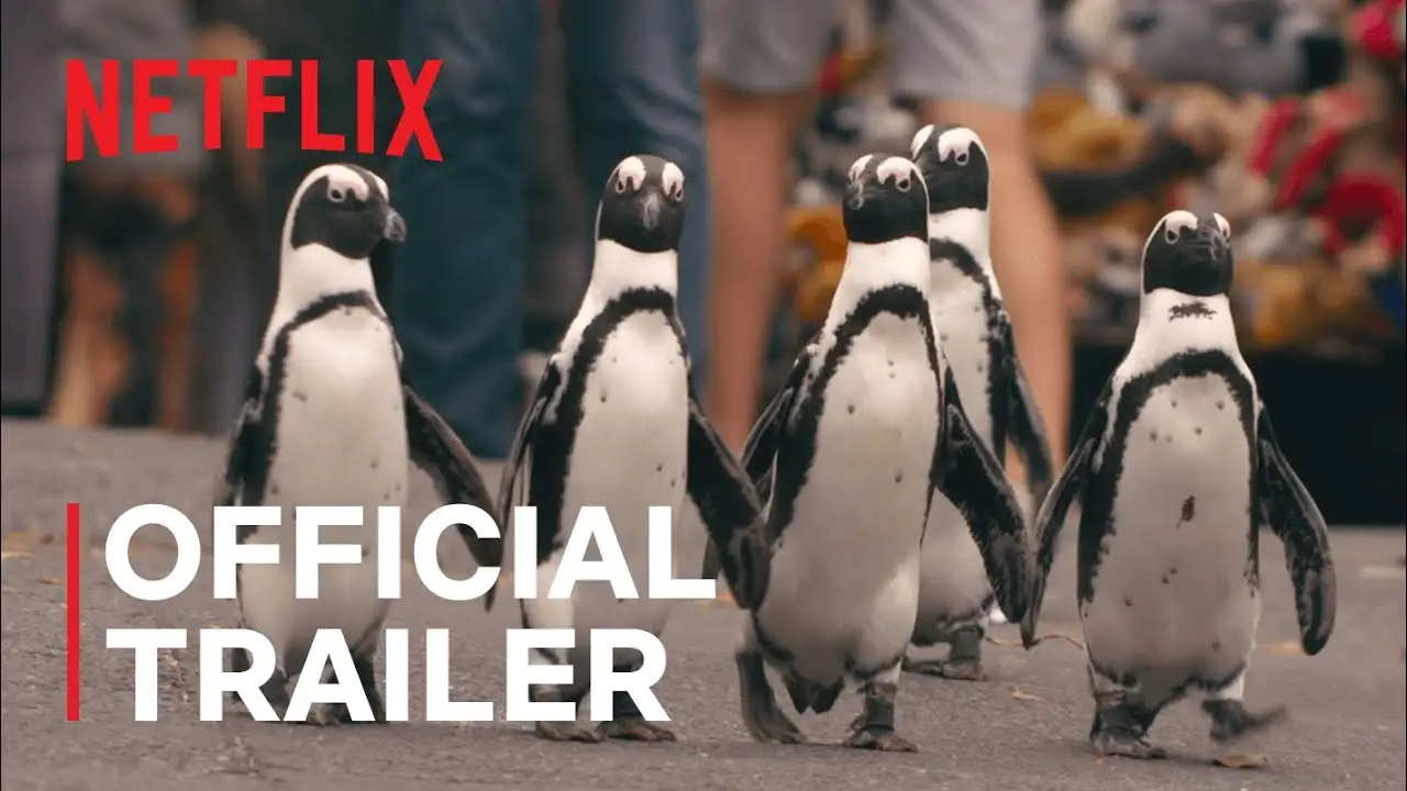 Penguin Town — trailer