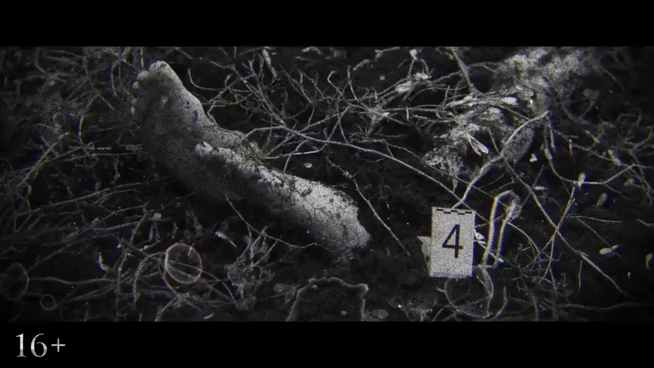 Vdova — трейлер