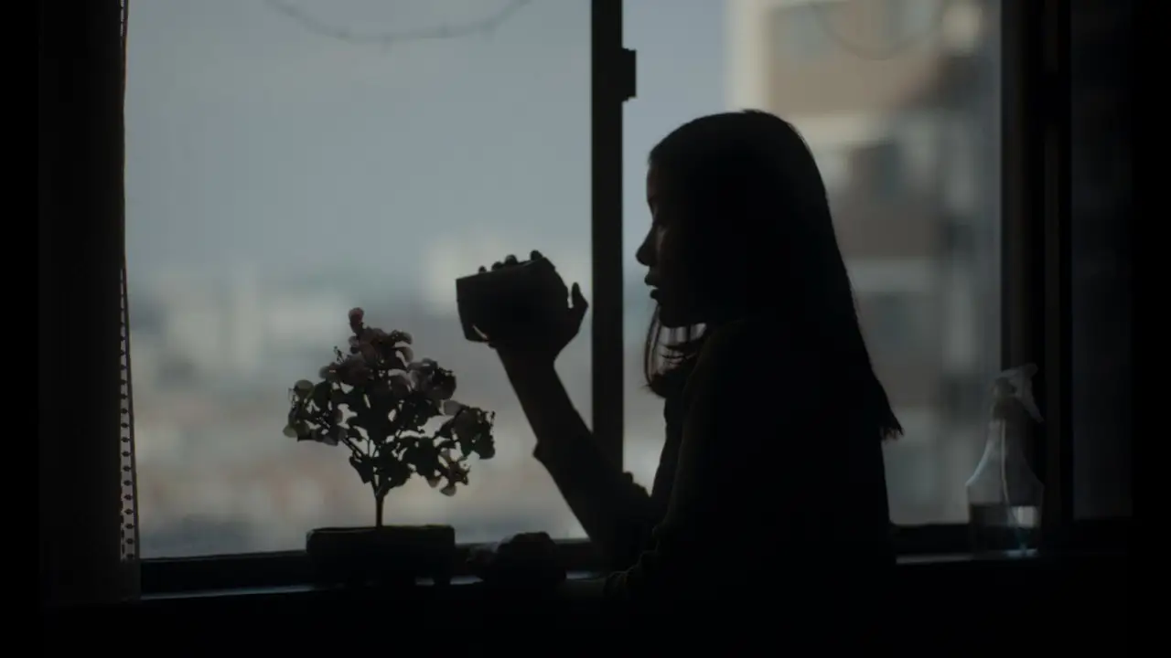 100 Sunset — trailer