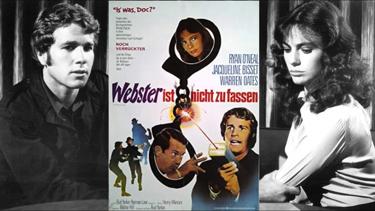 The Thief Who Came to Dinner — trailer