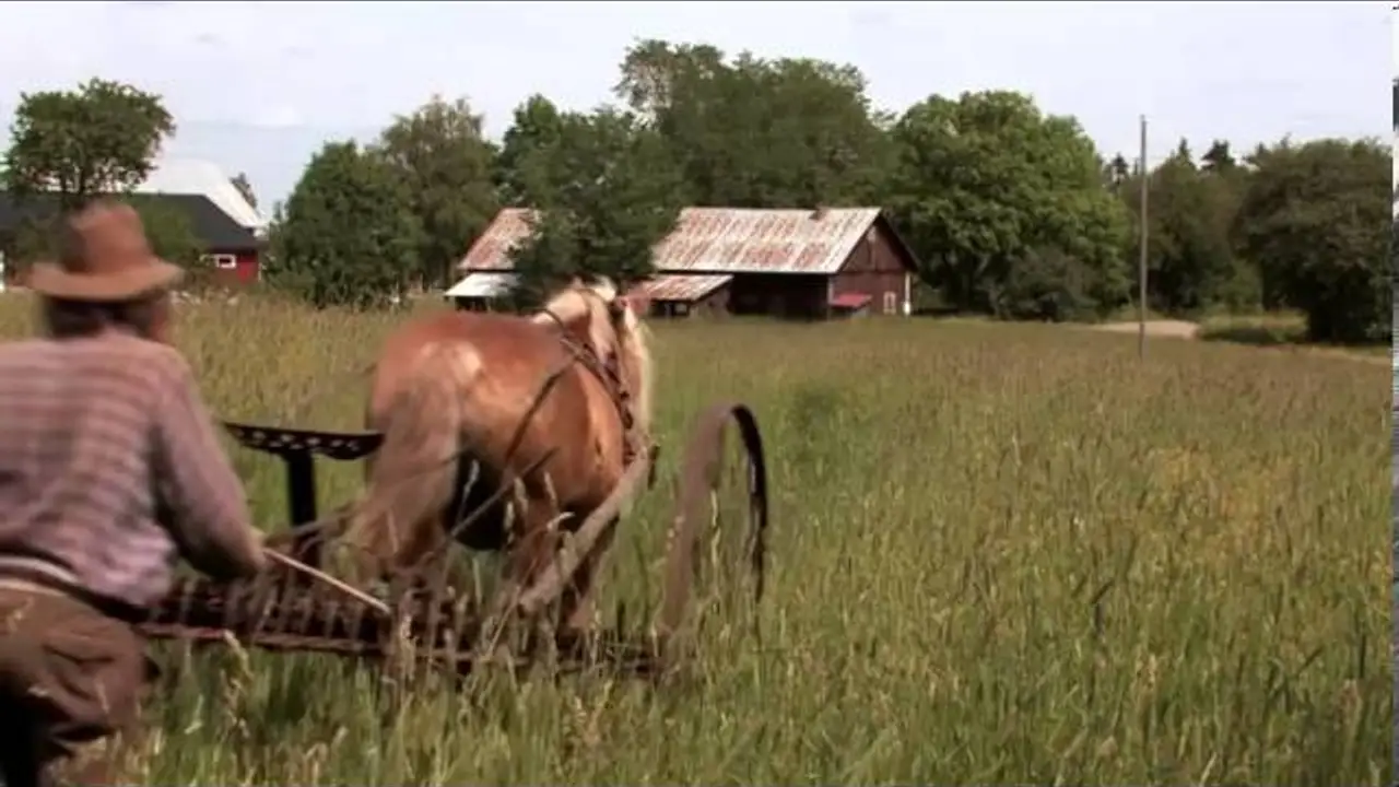 The Horseman — tráiler