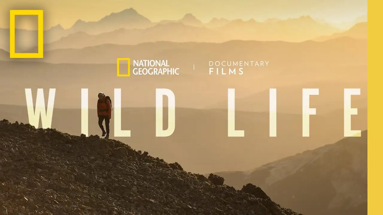 Wild Life — trailer