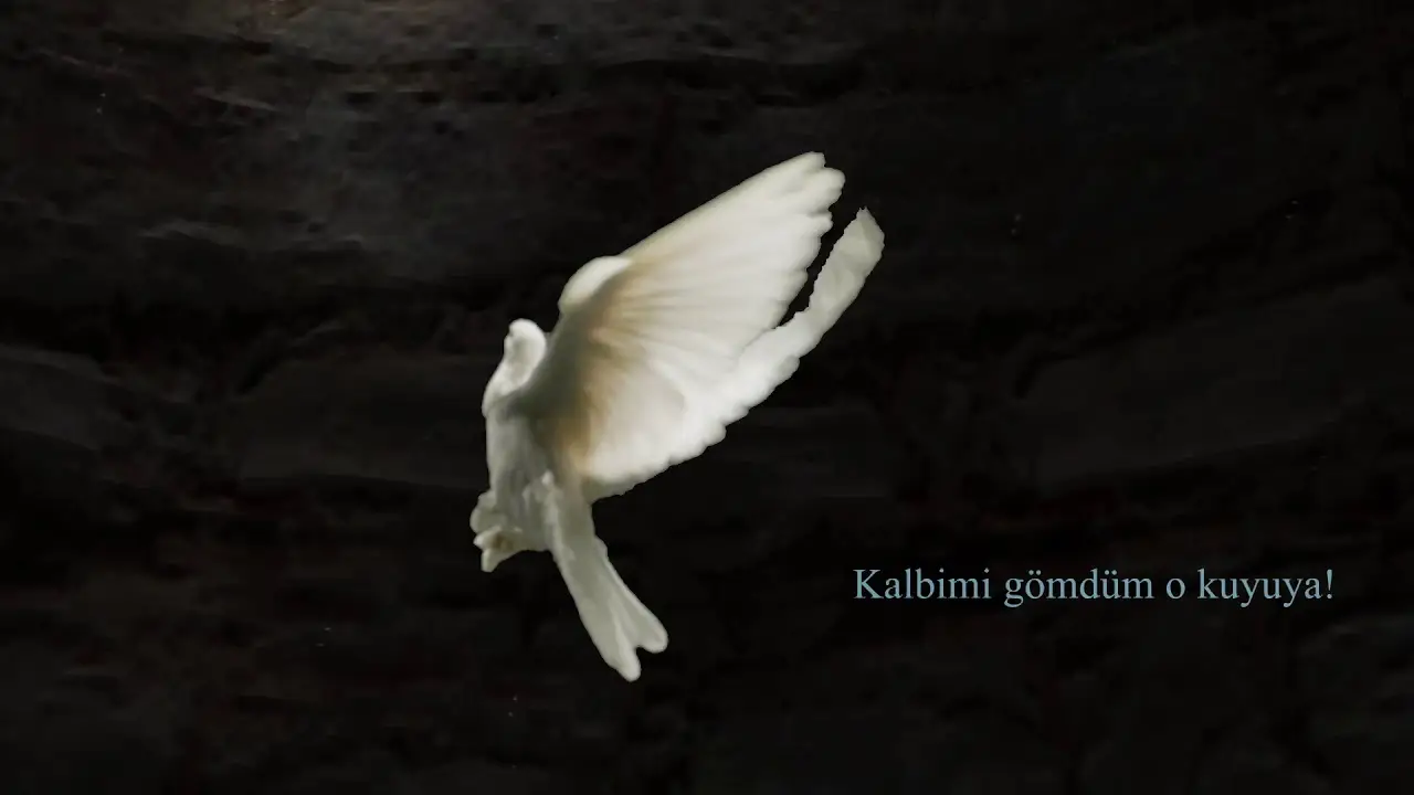 Güvercin — трейлер